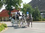 Wei&szlig;e Kutsche auch zur silbernen oder goldenen Hochzeit
