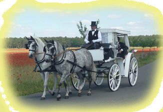 Die neue wei&szlig;e Hochtzeitskutsche